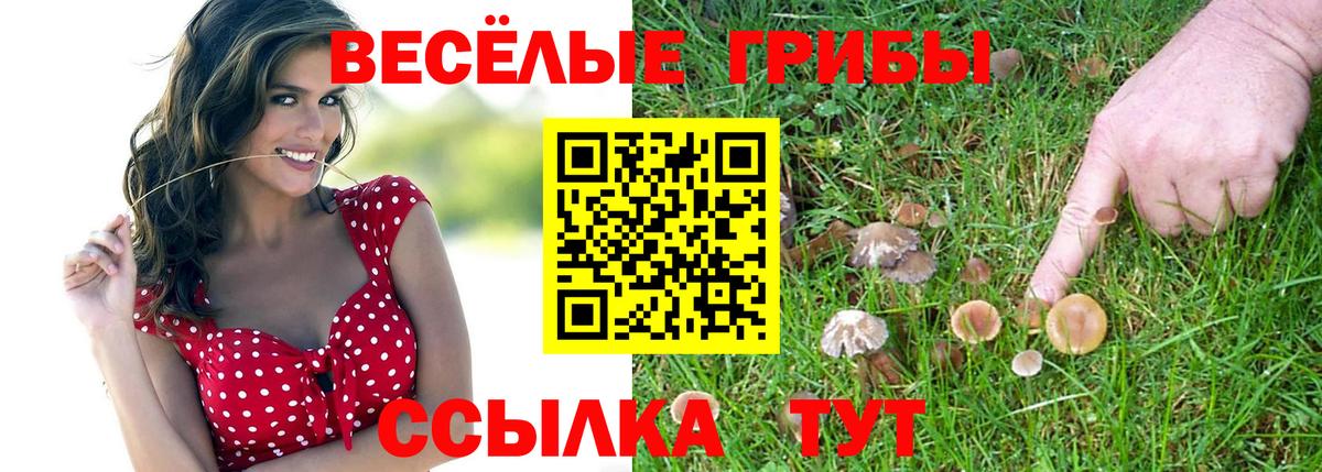 Псилоцибиновые грибы Magic Shrooms Артёмовский