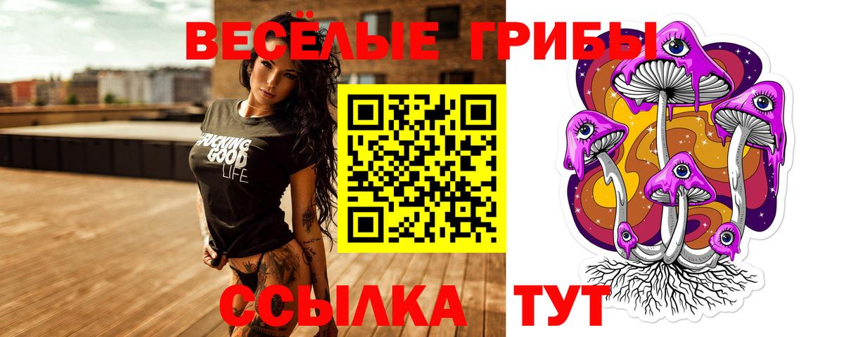 Артёмовский  Галлюциногенные грибы Cubensis  Вход с VPN 